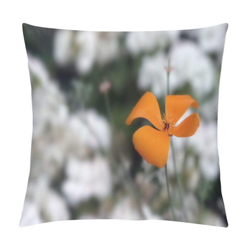 Personality  California Poppy Pillow Covers