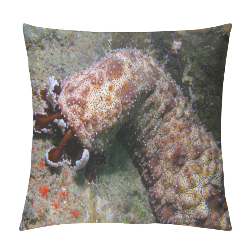 Personality  Sea Cucumber Pillow Covers