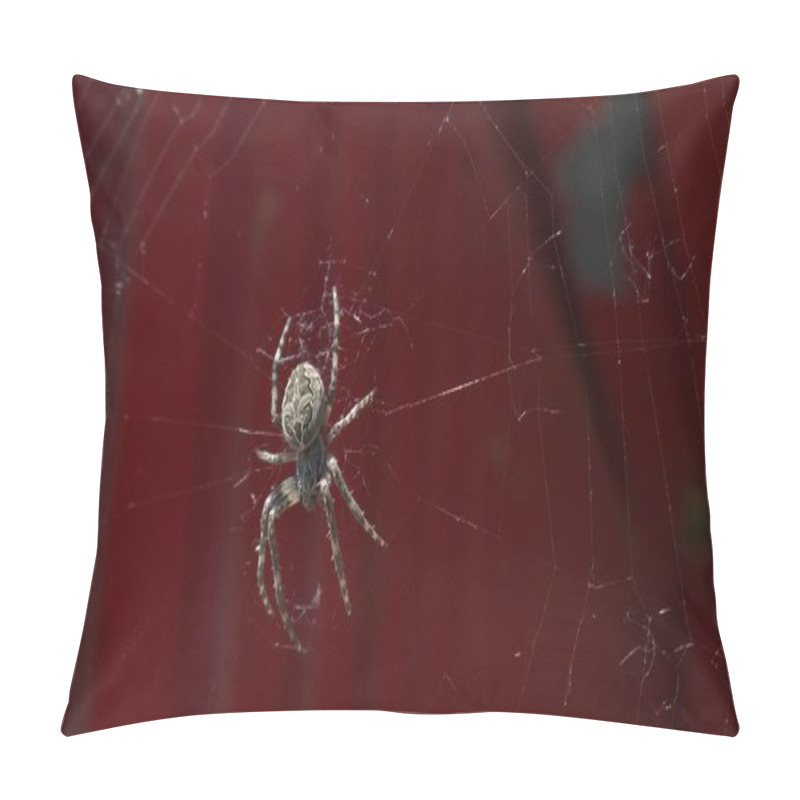 Personality  Spider With Net On Red Background Pillow Covers