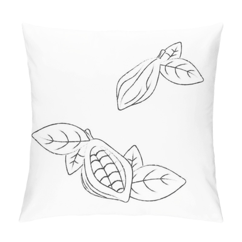 Personality  Set Of Cocoa Pod Illustrations. Sketch Vector Food Illustration. Essential Oil, Medicine, Cosmetic, Chocolate Ingredient Pillow Covers