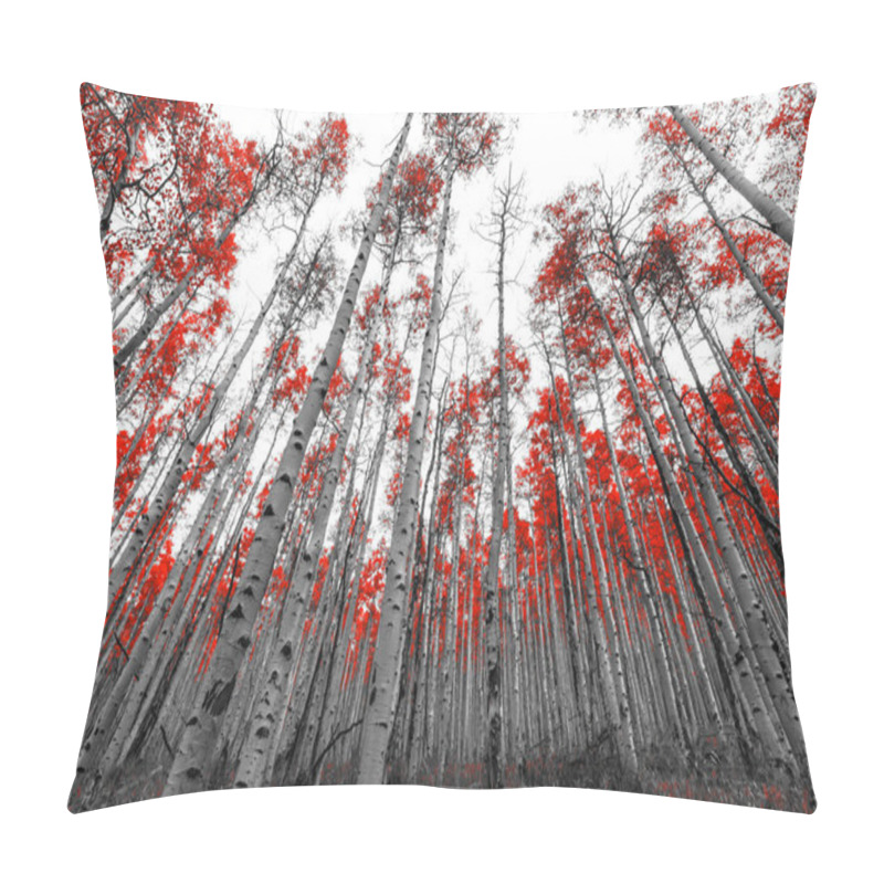 Personality  Tall Red Trees In Black And White Landscape Pillow Covers