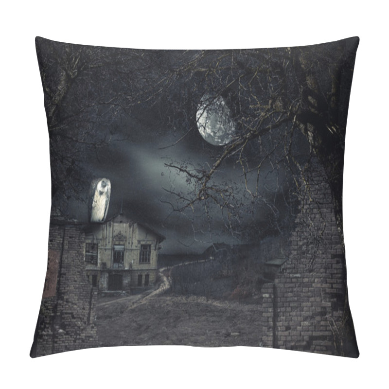 Personality  Haunted House With Vulture Waiting Pillow Covers