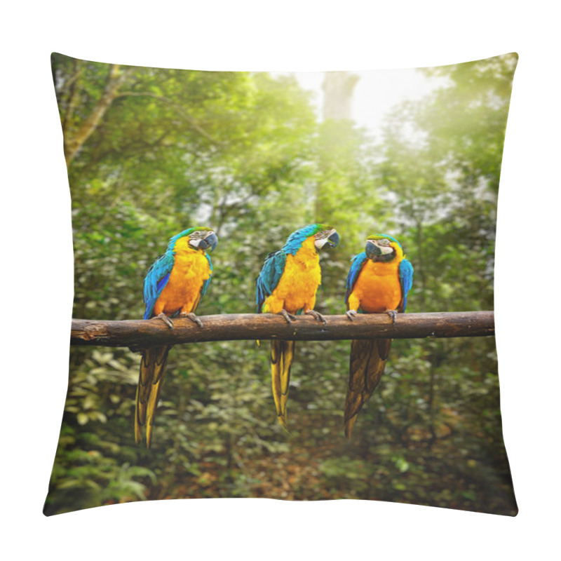 Personality  Blue-and-Yellow Macaw Ara Ararauna In Forest Pillow Covers