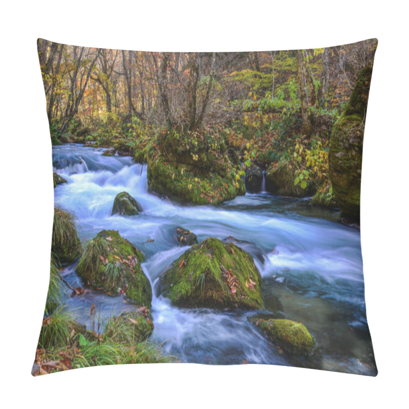 Personality  Oirase Stream In Sunny Day, Beautiful Fall Foliage Pillow Covers