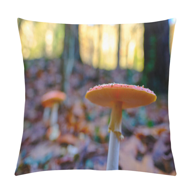 Personality  Close-up Of Two Amanita Muscaria Or Fly Agaric Mushrooms With Orange Caps And White Spots, Growing Among Fallen Leaves In An Oak Forest In Ucieda, Cabuerniga Valley, Cantabria, Spain. Pillow Covers