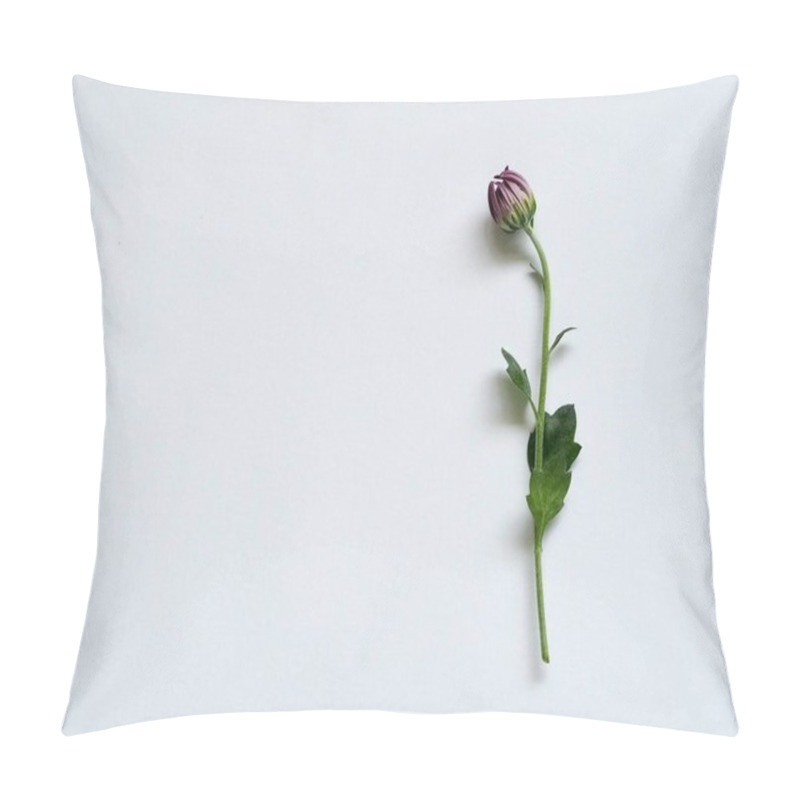 Personality  A Delicate Purple Flower Bud With Green Leaves Against A Clean White Background. Pillow Covers