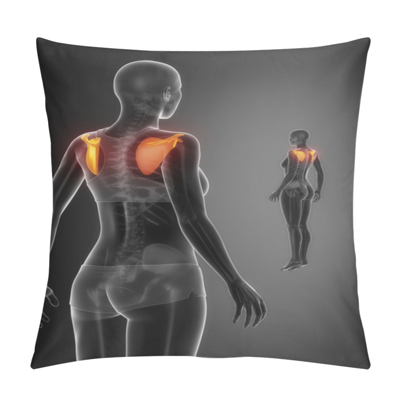 Personality  SCAPULA Bones Scan Pillow Covers