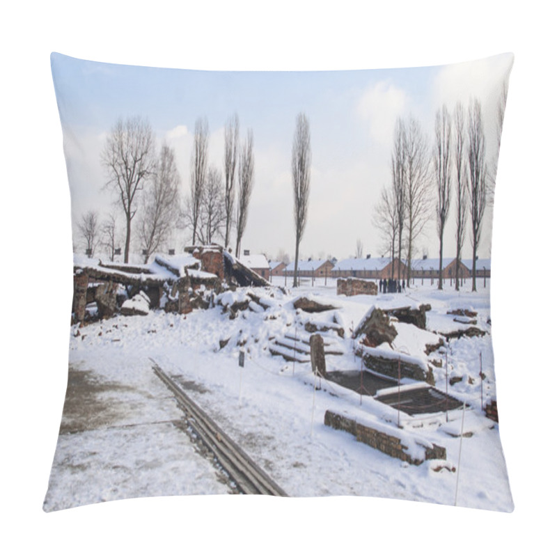 Personality  The Auschwitz-Birkenau State Museum Pillow Covers