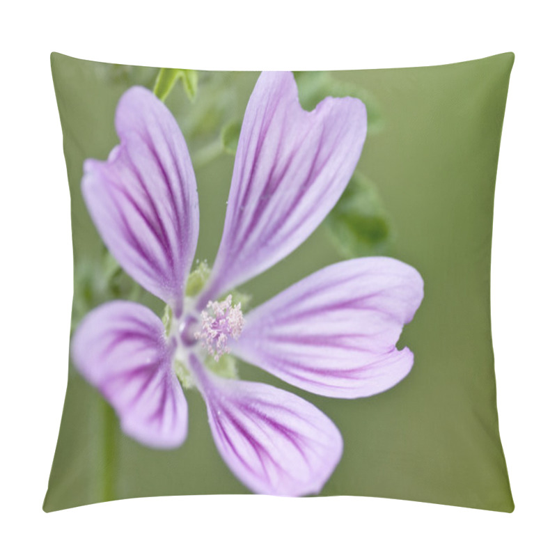 Personality  Malva Sylvestris, Common Mallow, High Mallow, Blue Mallow, Cheese-cake Pillow Covers