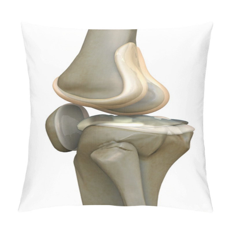 Personality  Knee, Human Bone Pillow Covers