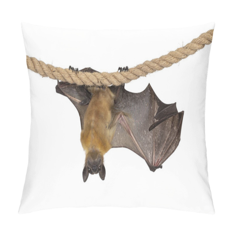 Personality  Funny Face Pic Of Young Adult Flying Fox, Fruit Bat Aka Megabat, Hanging On Sisal Rope With One Wing Spread Showing Structure Of The Bones. Isolated On White Background. Pillow Covers