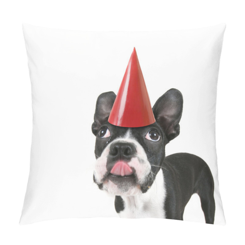 Personality  Boston Terrier With Birthday Hat Pillow Covers