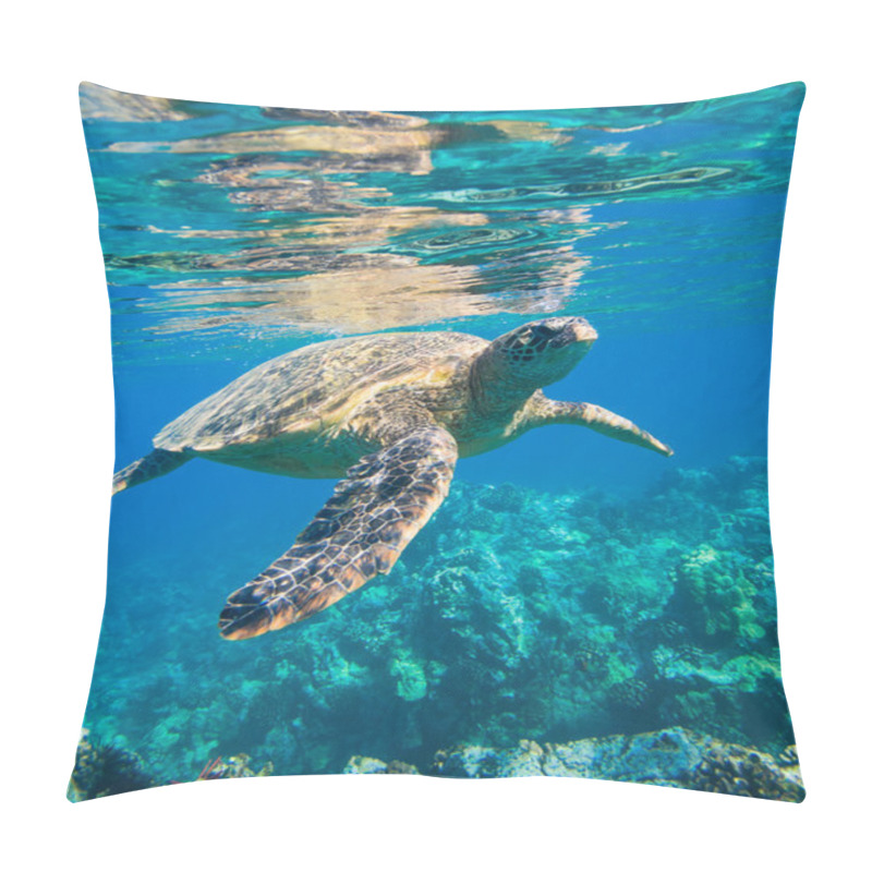 Personality  Green Sea Turtle Swimming In Ocean Sea Pillow Covers