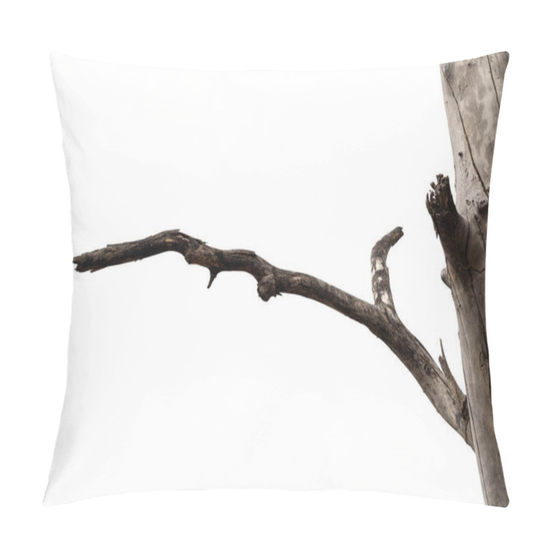 Personality  Dry Branches, Dry Branches, Isolated On White Background Pillow Covers