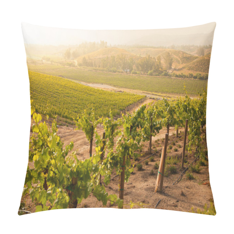 Personality  Beautiful Lush Grape Vineyard In The Morning Sun And Mist Pillow Covers