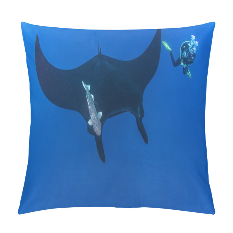 Personality  Black Manta Ray Pillow Covers