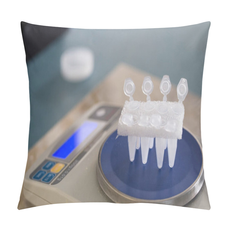 Personality  Polymerase Chain Reaction (PCR) And Agarose Gel Electrophoresis Is A Method Of Gel Electrophoresis Used In Biochemistry, Molecular Biology, Genetics, And Clinical Chemistry In Lab. Pillow Covers