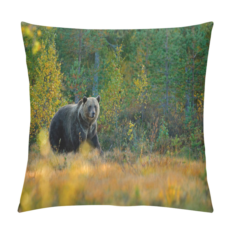 Personality  Bear Hidden In Yellow Forest Pillow Covers