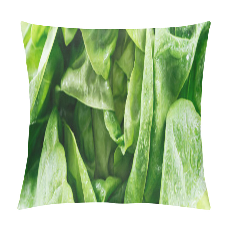 Personality  Panoramic Shot Of Green Wet Fresh Organic Lettuce Leaves With Drops Pillow Covers