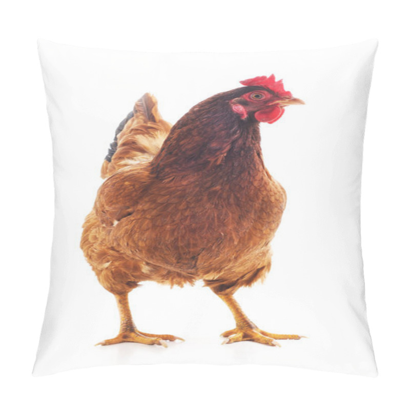 Personality  Young Brown Chicken Isolated On A White Background. Pillow Covers