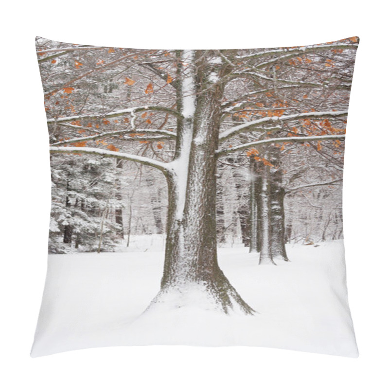 Personality  Oak Tree In Fresh Snow Pillow Covers