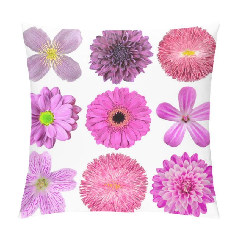 Personality  Collection Of Various Pink, Purple, Red Flowers Isolated Pillow Covers