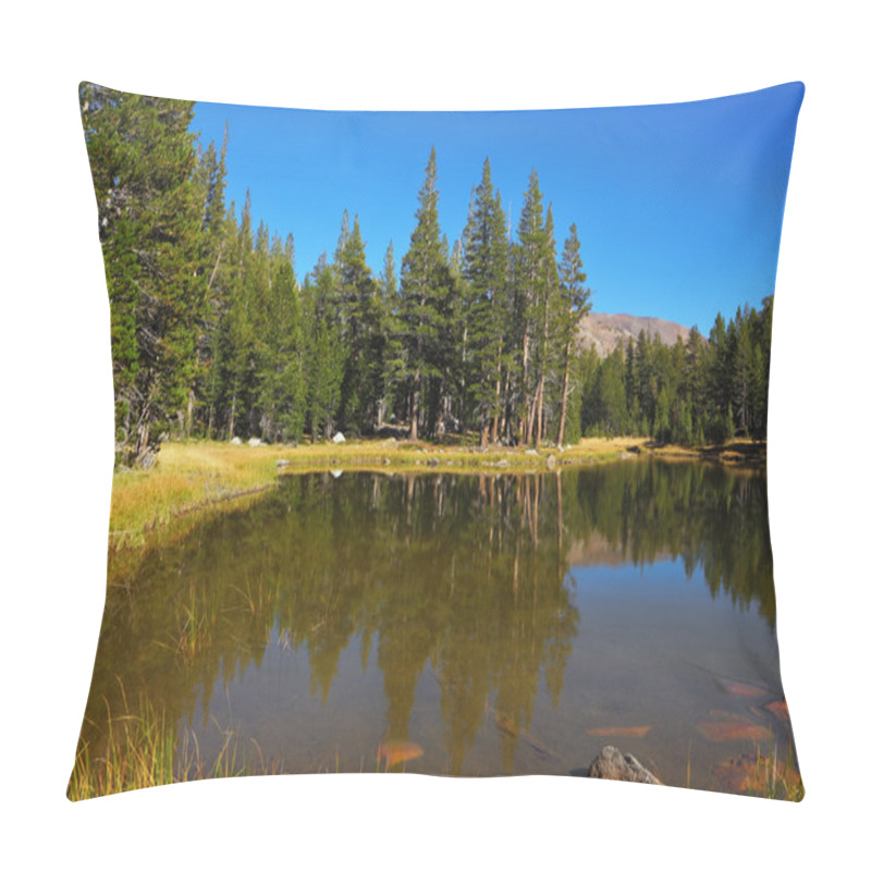 Personality  Yellowstone Park In Morning Pillow Covers