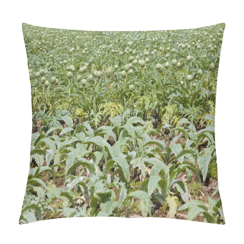 Personality  Field Of Artichokes Pillow Covers