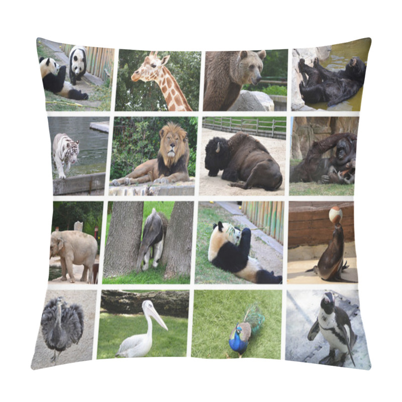 Personality  Animals Collage Pillow Covers