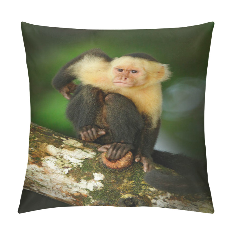 Personality  Black Monkey Sitting On Branch Pillow Covers