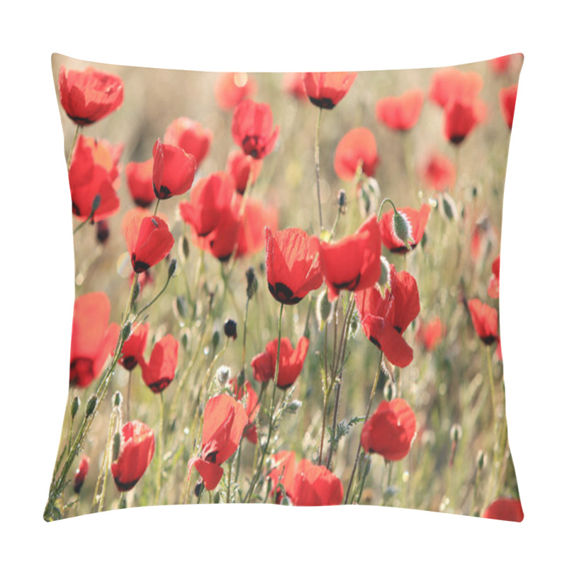 Personality  Poppy Flowers Field, Close-up Early In The Morning Pillow Covers