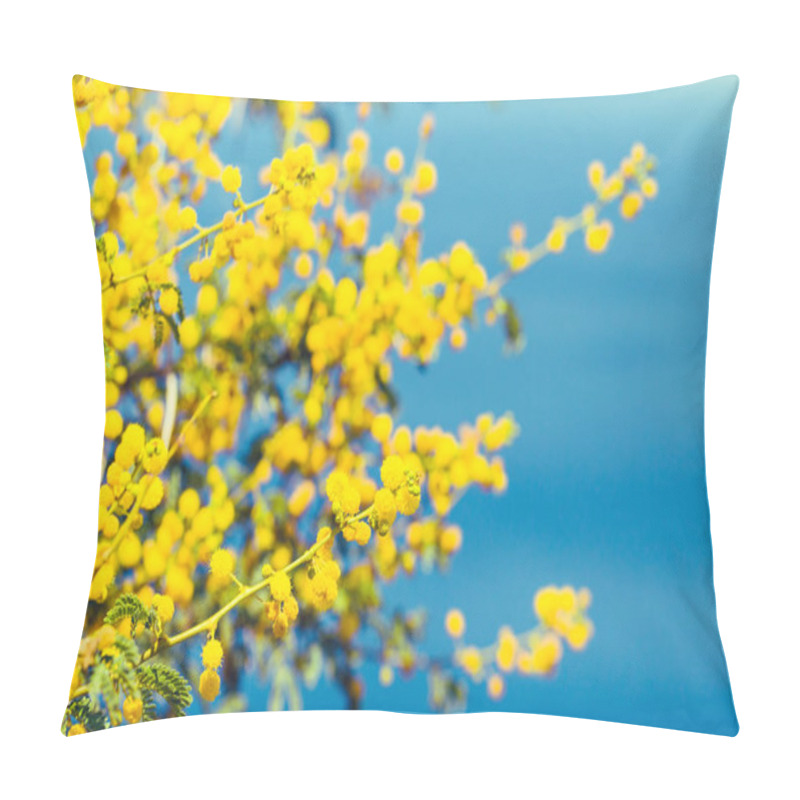 Personality  Mimosa Branch With Yellow Flowers  Pillow Covers