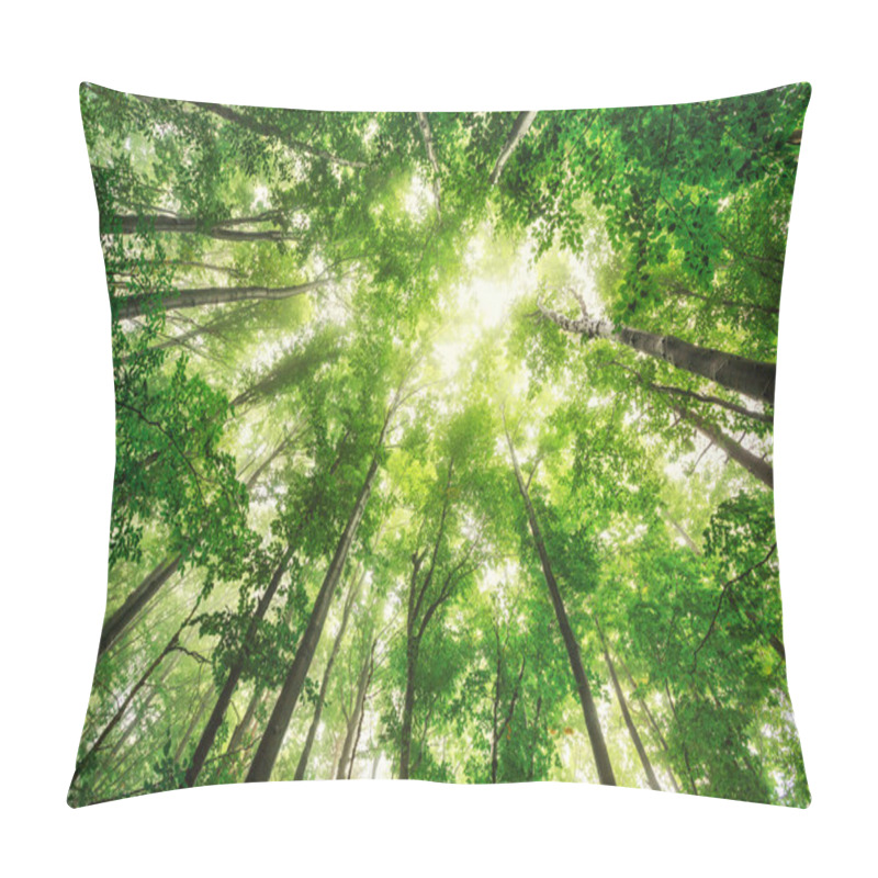 Personality  Beautiful Nature At Morning In The Misty Spring Forest With Sun  Pillow Covers