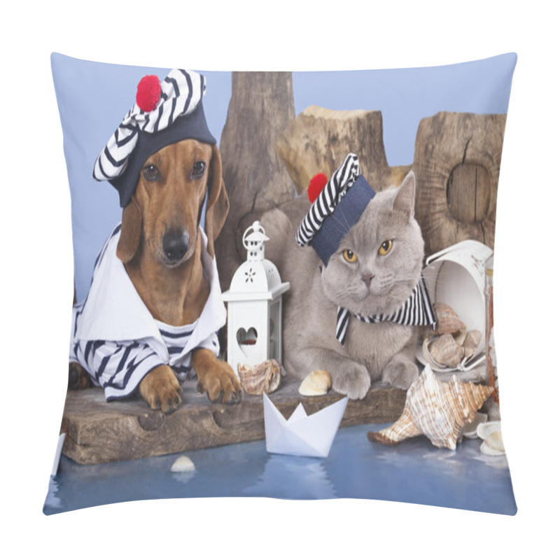 Personality  Cat And Dog Pillow Covers