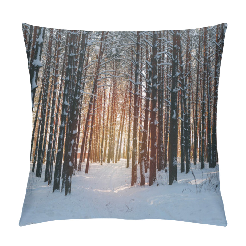 Personality  Winter Forest, Sunny Landscape Background Pillow Covers