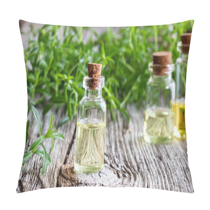 Personality  A Bottle Of Mountain Savory Essential Oil With Fresh Satureja Montana Plant Pillow Covers