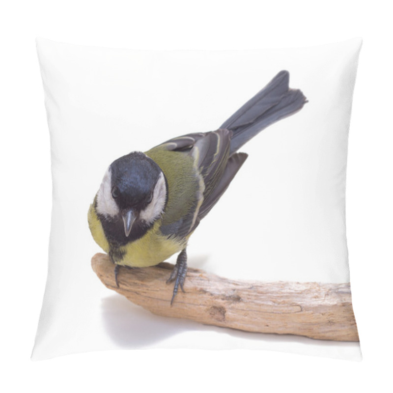 Personality  Great Tit, Parus Major Pillow Covers