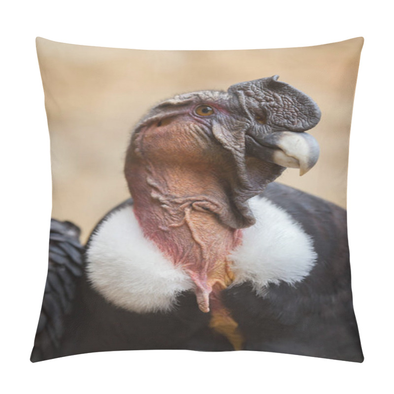 Personality  Andean Condor (Vultur Gryphus). Pillow Covers