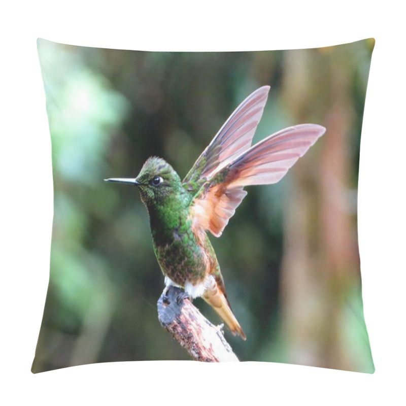 Personality  A Tiny Hummingbird Sitting On A Tree Branch With The Wings Flapping Pillow Covers