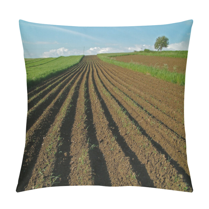 Personality  Arable Field In Spring Pillow Covers