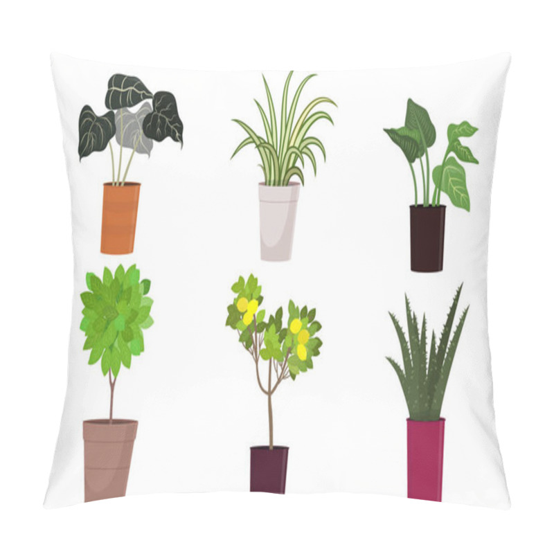 Personality  Different Kinds Of Green Blooming Home Plants In Pots Vector Illustration Pillow Covers