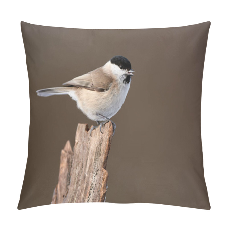 Personality  Marsh Tit (Poecile Palustris) Frequent Visitor In Winter On A Feeder. We Often Find This Bird In The Garden Or In The Woods.  Pillow Covers