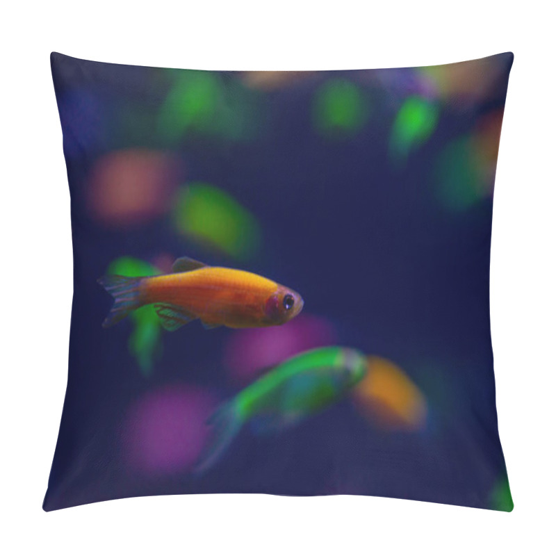 Personality  Nice Danio Glow Fish Freshwater Pets Aquarium Pillow Covers