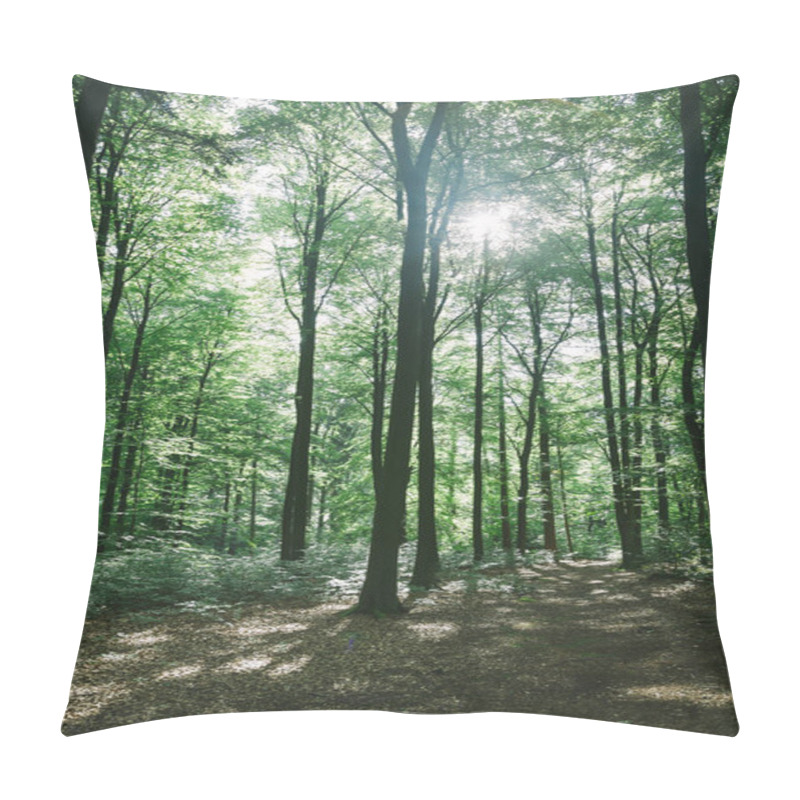 Personality  Sunlight Pillow Covers