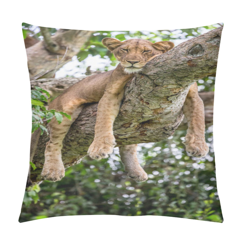 Personality  Lioness Lying On Tree Pillow Covers