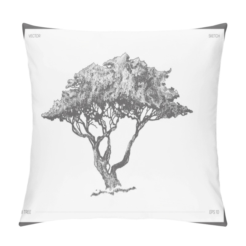 Personality  High Detail Vector Of Safari Tree, Acacia Sketch Pillow Covers