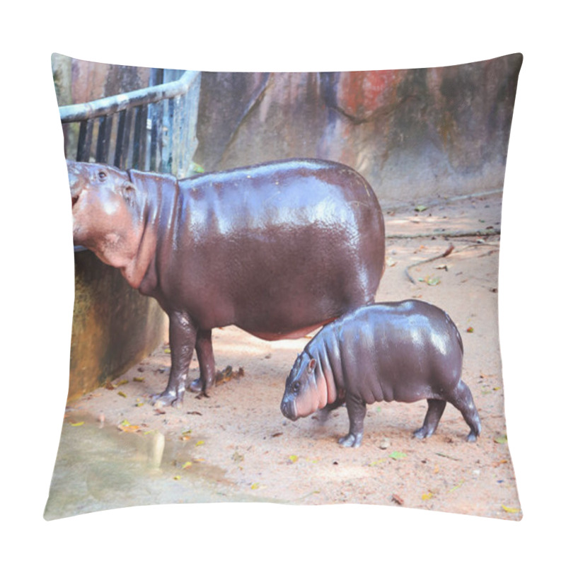 Personality  Adorable 3 Months Old Baby Pygmy Hippo Being With Her Mother All The Time Pillow Covers