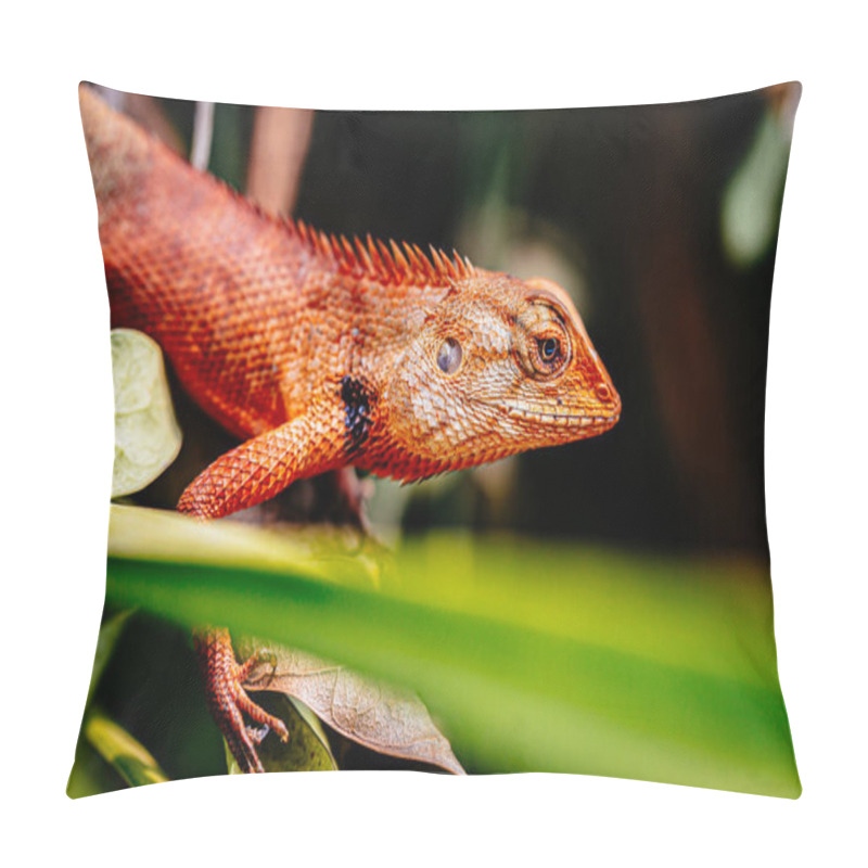 Personality  Tree Lizard Remained On The Tree And Remained Motionless, Waiting For His Prey. Pillow Covers