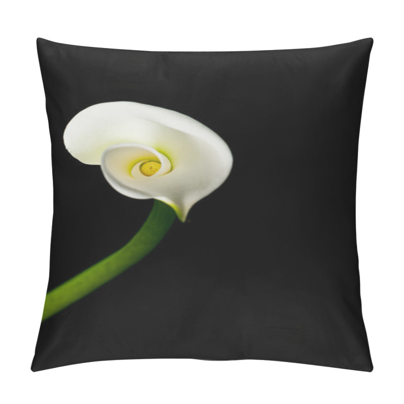 Personality  Calla Lily Isolated On Black  Pillow Covers