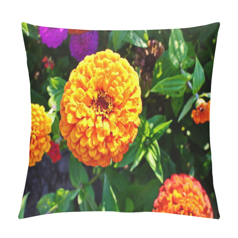 Personality  Zinnia Flowers Growing In A Flower Garden. A Variety Of Zinnia Flowers. Pillow Covers